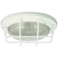 Traditional 'Jelly Mould' Style Commercial Round Roof Lamp - White Finish with Guard