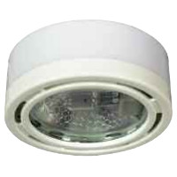 Downlighter for Recessed or Surface Mounting